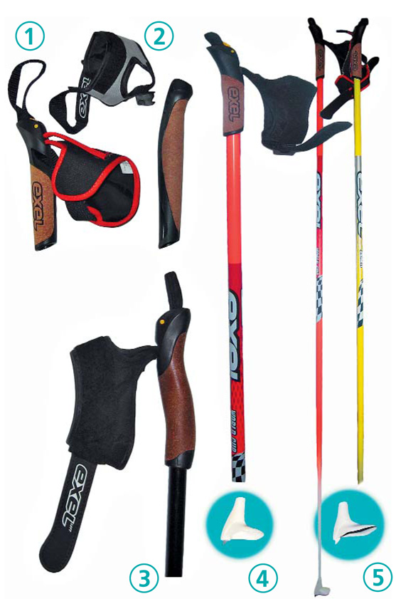 Как выбрать палки для скандинавской ходьбы. Подойдут ли лыжные?