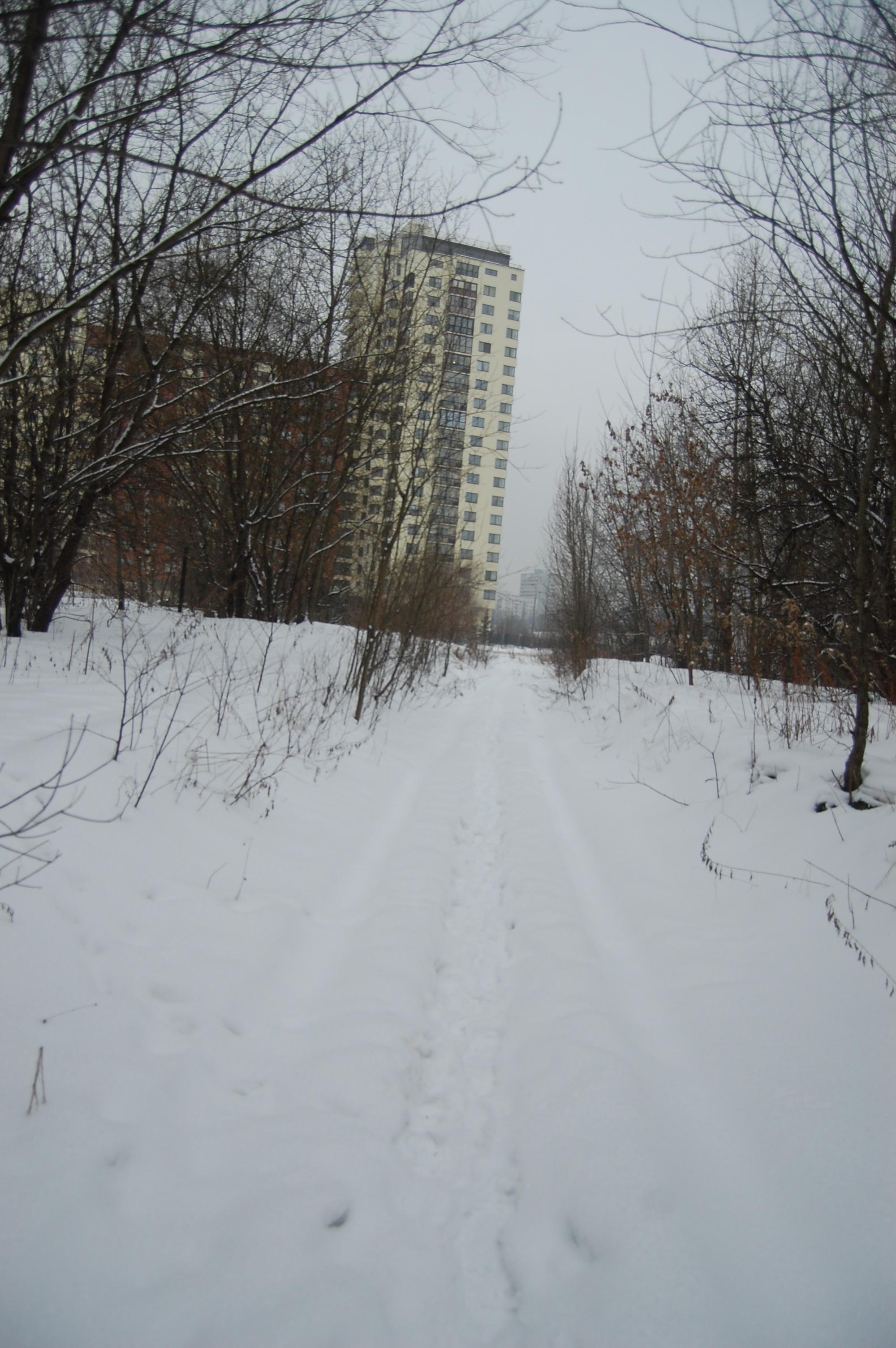 Лыжня к стадиону