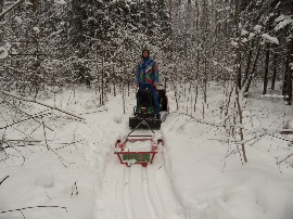 Лесная лыжня.