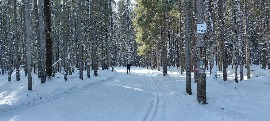 фев.2025г., Сыктывкар, "прогулочная" трасса на Динамо, макс.круг окл.15 км., есть ратраченная связка с трассами Л/Ц им. Р.Сметаниной