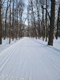 Сапог за Авангардом.