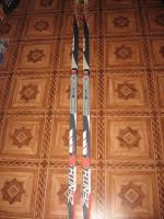 Peltonen Zenith