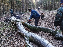 Субботник на трассе. 04.11.2023.