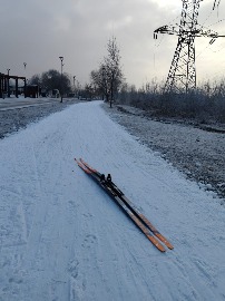 Братеевская пойма