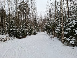 Трасса в ГАБО. 18.02.2025