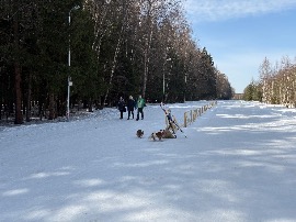 Фото трассы Апрелевского Марафона сегодня 20 марта 2026 года