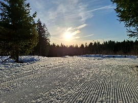 Трасса 19.03.2026