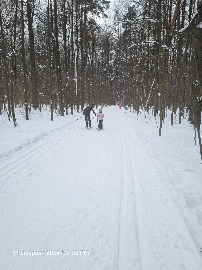 Типа ,,пятёрка,, от Лебедянского...