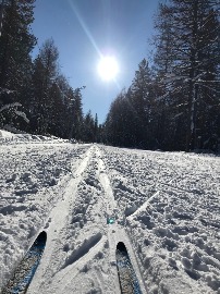 Алдан 2020 19 октяб