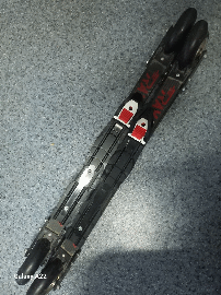 лыжероллеры Луч