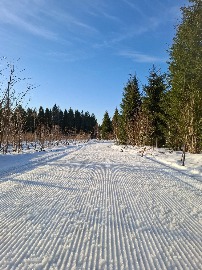 овка трассы 19.03.202