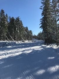 Алдан 2020 19 окт