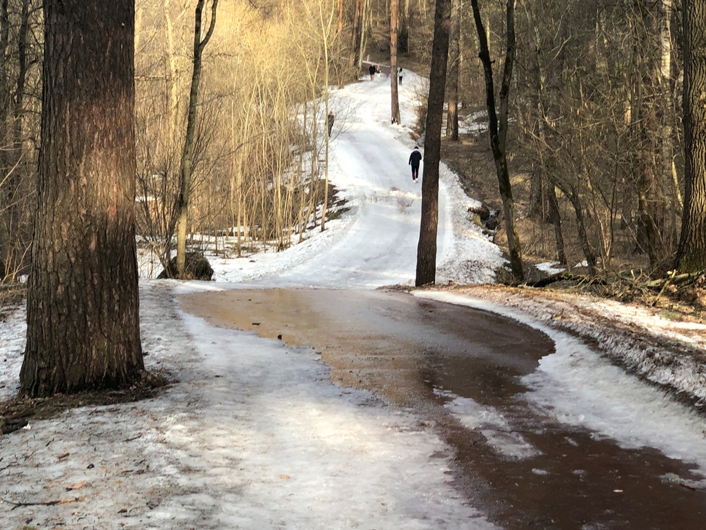 Мещерский парк Лыжня