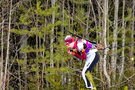 СДЮБР фото Андрей Чепакин