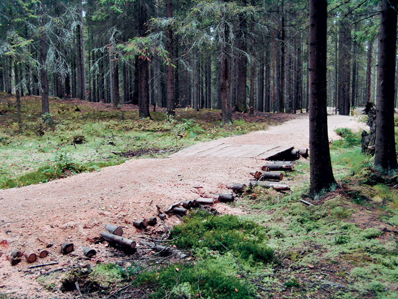 В топким местах сооружены такие вот бревенчатые гати с обязательной отсыпкой сверху брёвен толстым слоем опилок.