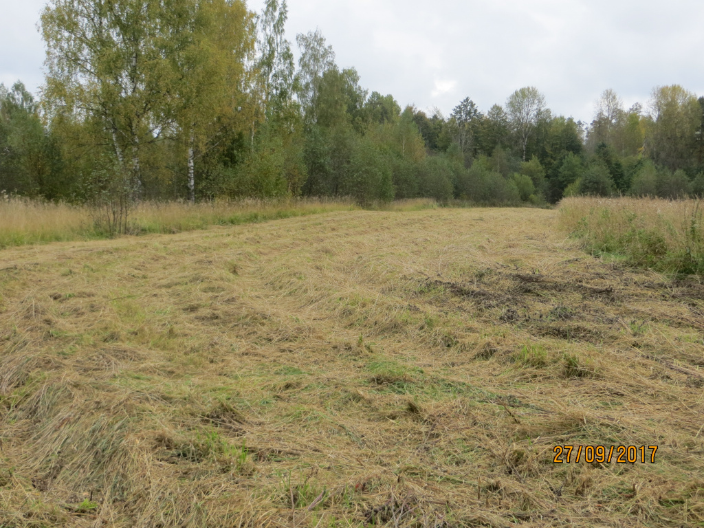 Площадка для пункта питания 20 км 