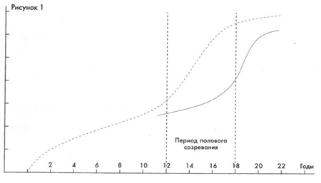 Рисунок 1. Динамика развития основных систем организма человека и увеличение объёма циклической нагрузки. 