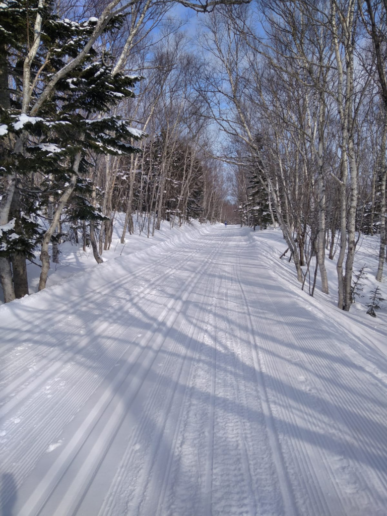 В день классического марафона.