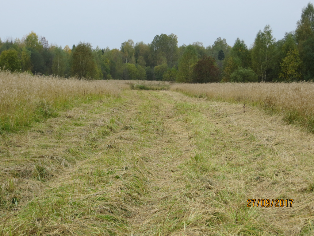 7 км по ходу движения 