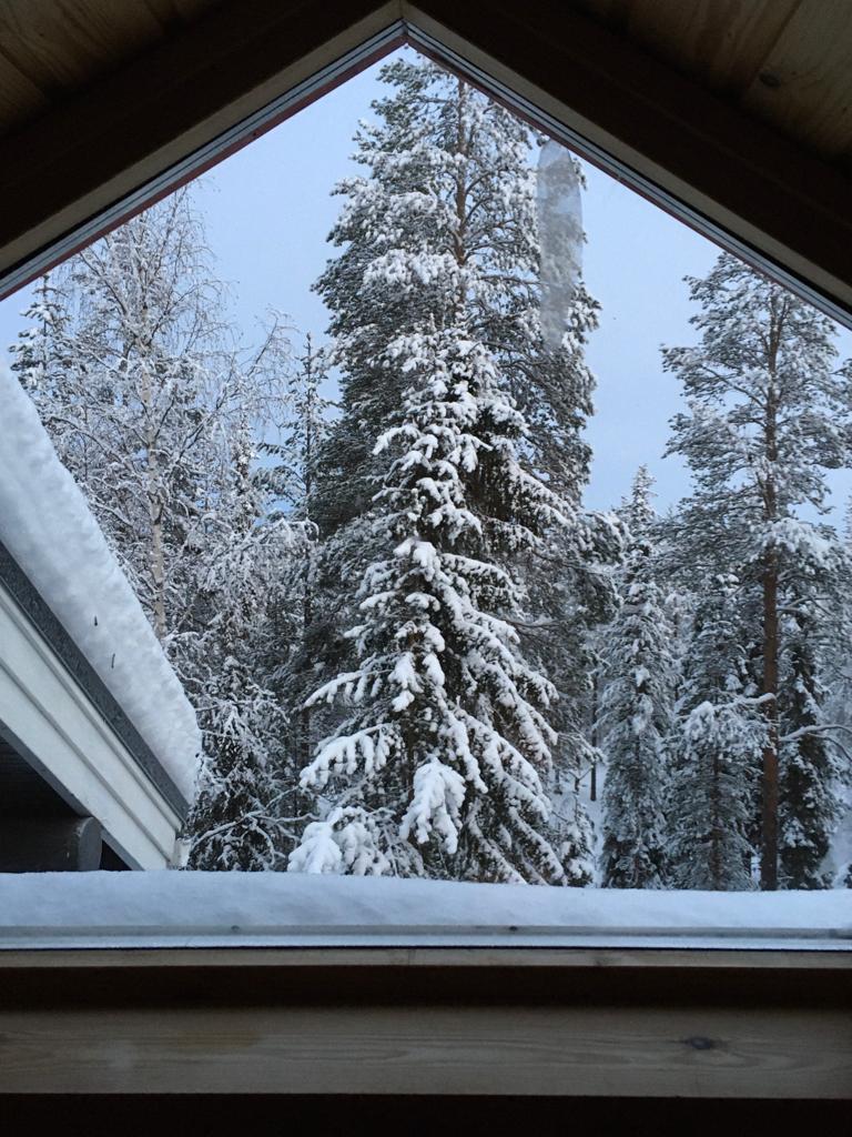 За окном зима, в лесу трещит мороз, а дома - тепло и уютно.