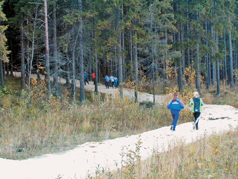 Согласитесь, когда бежишь по такой трассе, трудно сбиться с дороги.