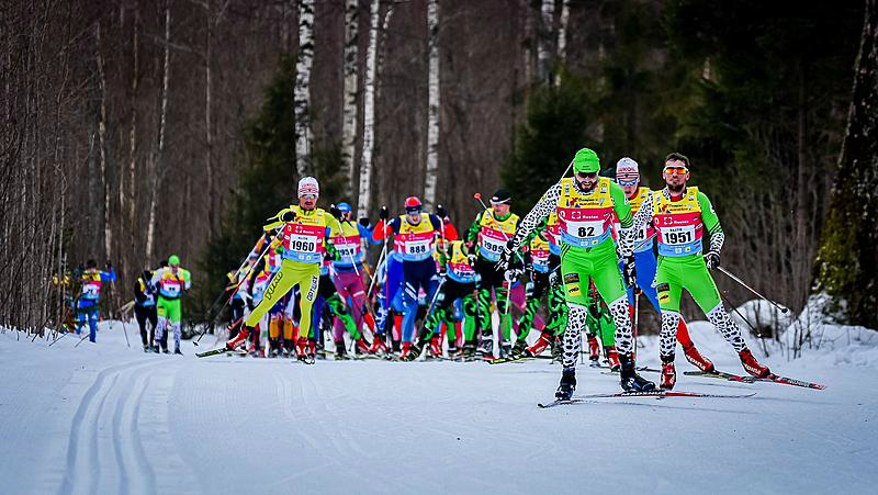 Команда «Снежные барсы» на Дёминском лыжном марафоне 