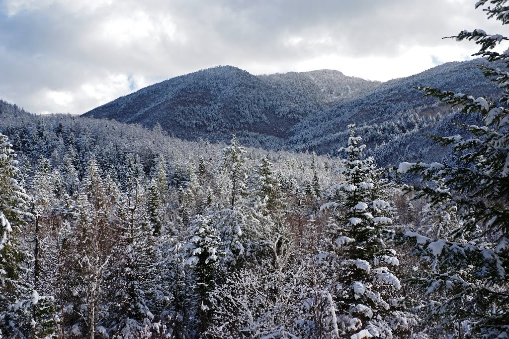 11. Рельеф Сусунайского хребта.