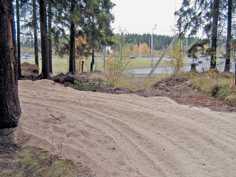 О таких условиях для тренировок могут мечтать даже члены сборной команды России. Во-первых, такая вот опилочная дорожка позволяет в очень щадящем режиме нагружать опорно-двигательный аппарат — при тренировках на таком покрытии ребятишкам не страшны никакие травмы. А во-вторых, даже под дождём вы бежите по абсолютно сухой, пружинящей дорожке.
