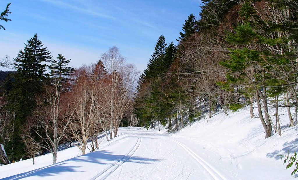 10. Трасса Сахалинского лыжного марафона.