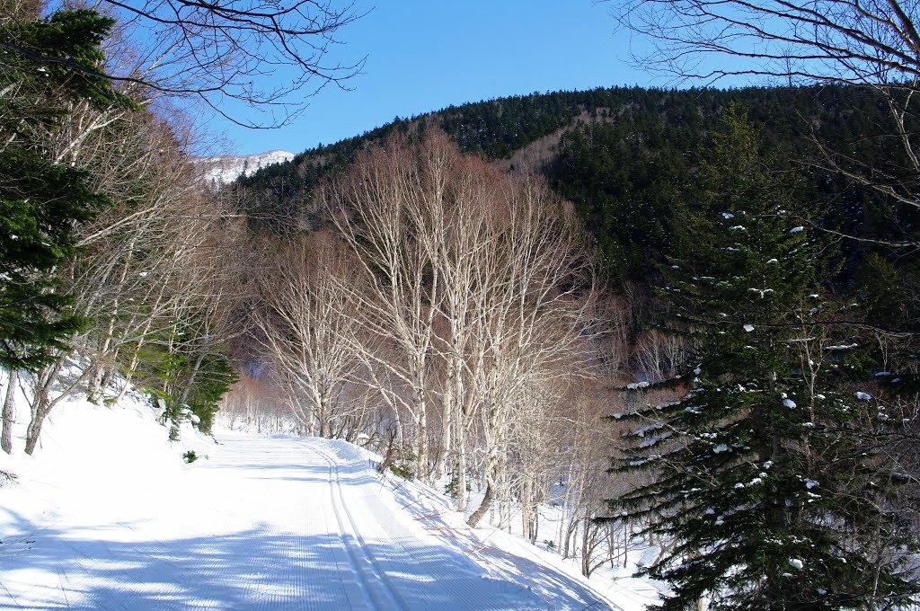 3. Лыжня на перевал Чехова.