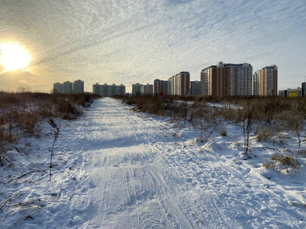 Лукинская лыжная трасса и лыжный клуб «Ново-Переделкино» под угрозой  исчезновения