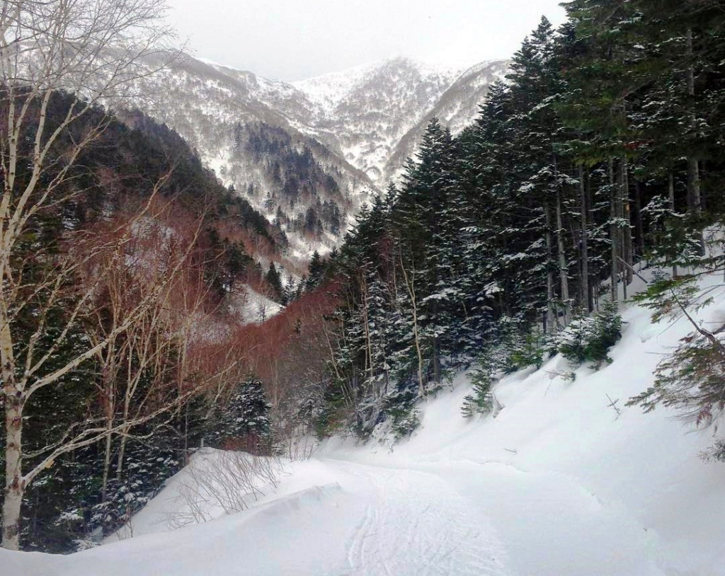 2. Лыжня на перевал Чехова.