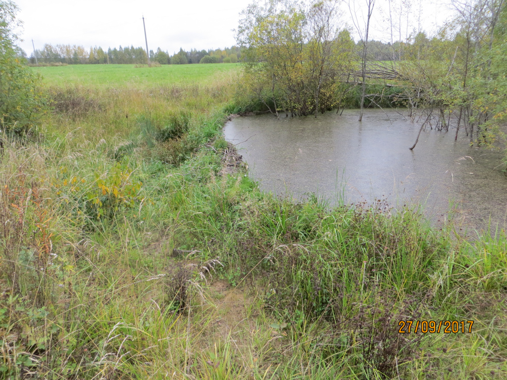 Бобровая запруда на 7 км