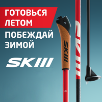 Лыжные палки SKILL