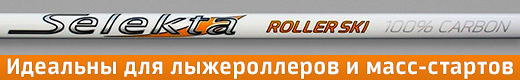 Лыжные палки Selekta